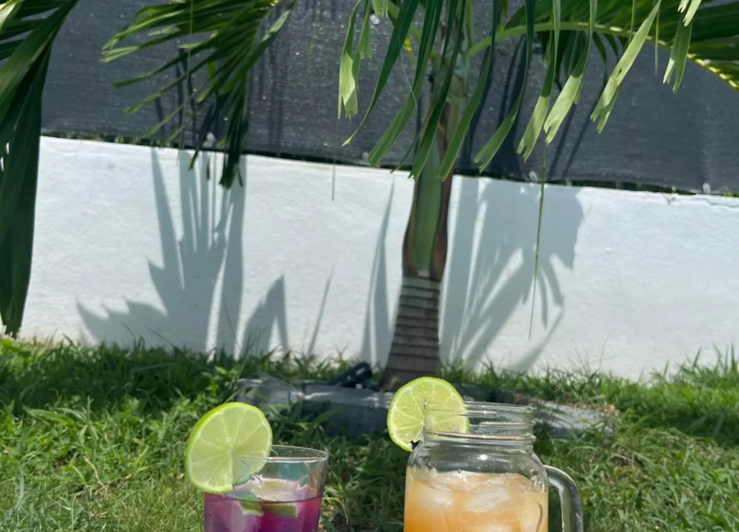 Villa O'Mangos Frangipanier Saint-Francois  Guadeloupe